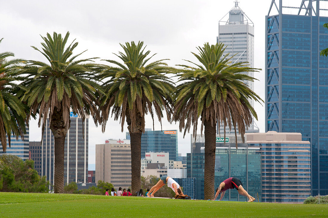 Yoga session in Kings Park, with the skyline of Perth as the background