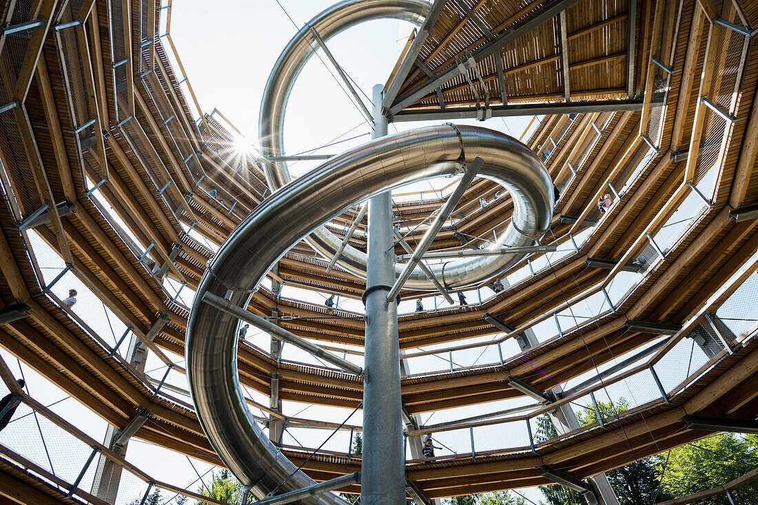 Treetop trail on Mt Sommerberg, Bad Wildbad, Black Forest, Baden-Wuerttemberg, Germany