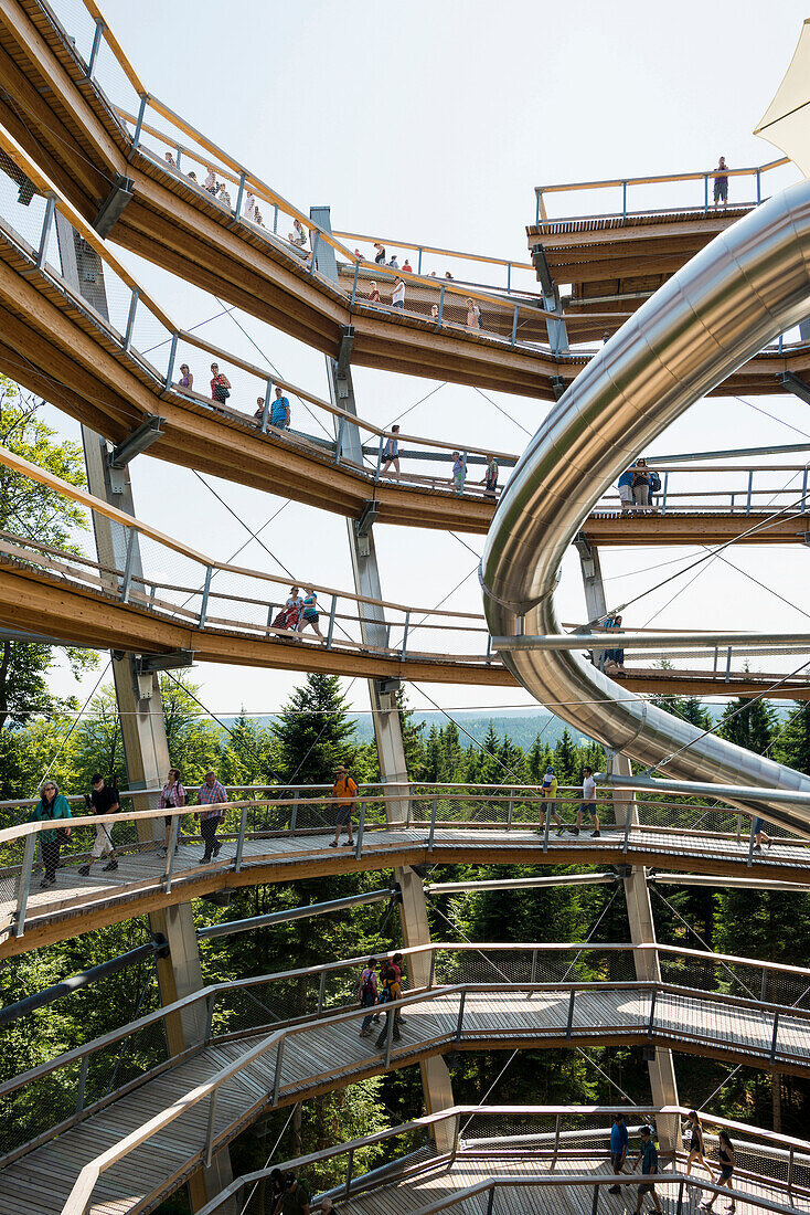 Treetop trail on Mt Sommerberg, Bad Wildbad, Black Forest, Baden-Wuerttemberg, Germany