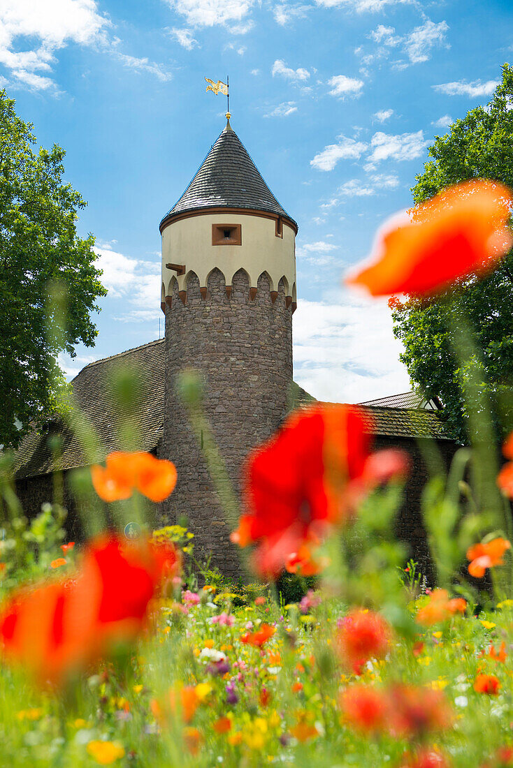 Lauerturm, Ettlingen, Schwarzwald, Baden-Württemberg, Deutschland