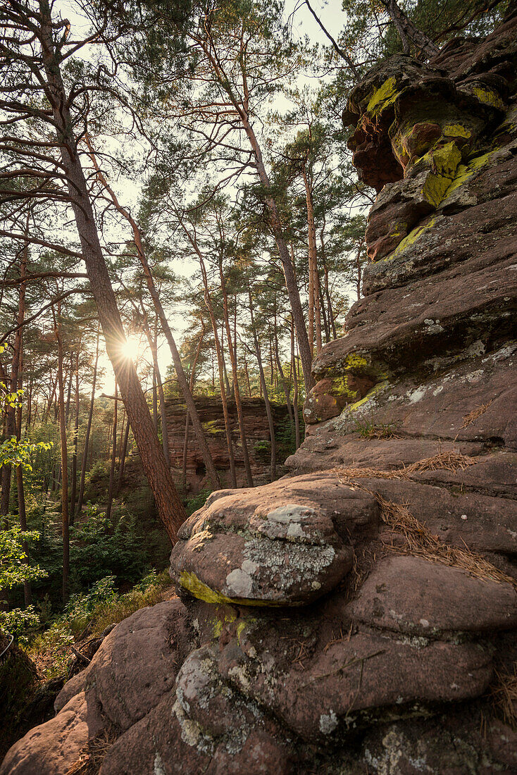 sandstone rocks, Palatinate Forest, near Dahn, Rhineland-Palatinate, Germany