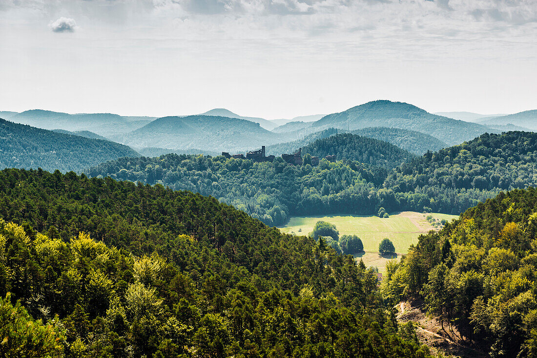 Landschaft bei Dahn, Pfälzer Wald, Rheinland-Pfalz, Deutschland