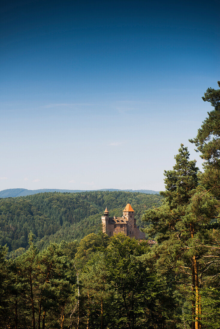 Burg Berwartstein Castle, Erlenbach, Palatinate Forest, Palatinate, Rhineland-Palatinate, Germany