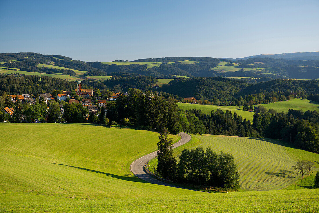 Landscape near St Maergen, South Black Forest, Baden-Wuerttemberg, Germany