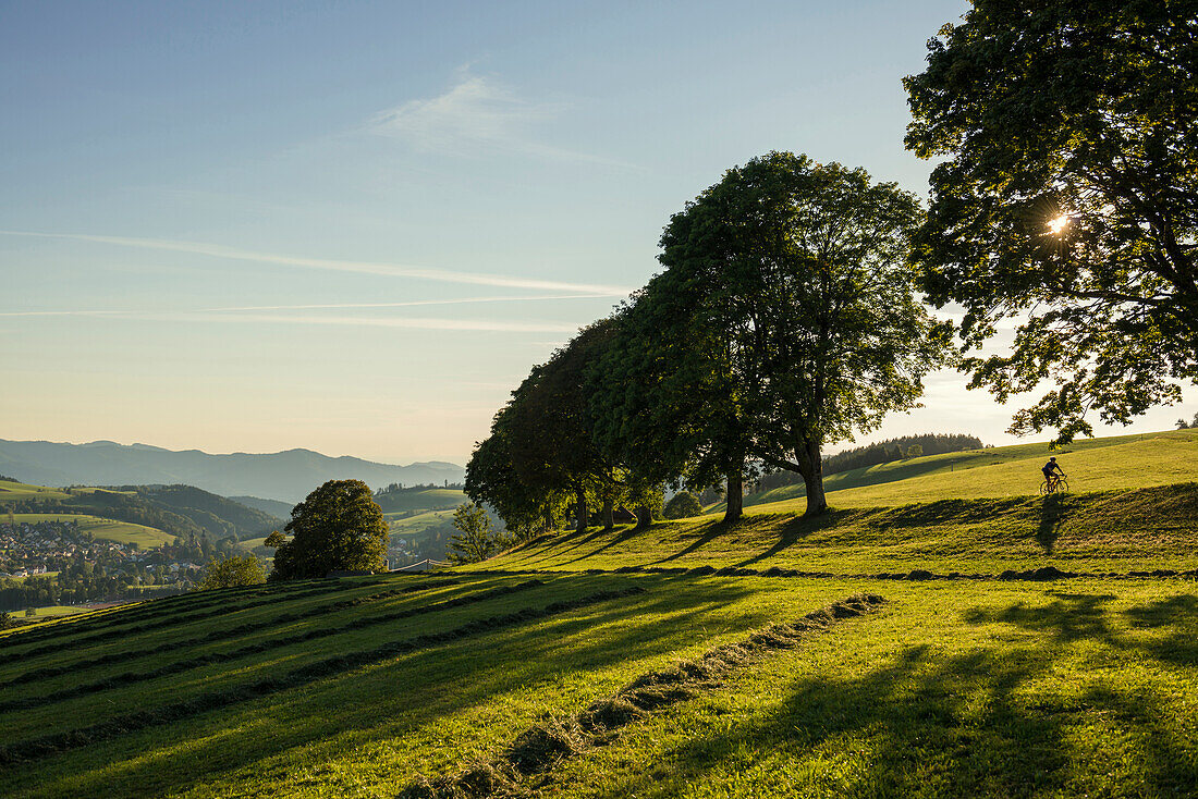 Landschaft bei St Peter, Südschwarzwald, Schwarzwald, Baden-Württemberg, Deutschland