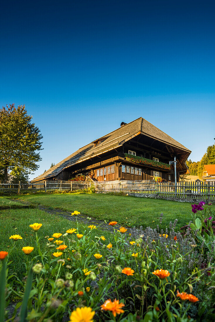 old farmhouse, Bernau, Black Forest, Baden-Wuerttemberg, Germany