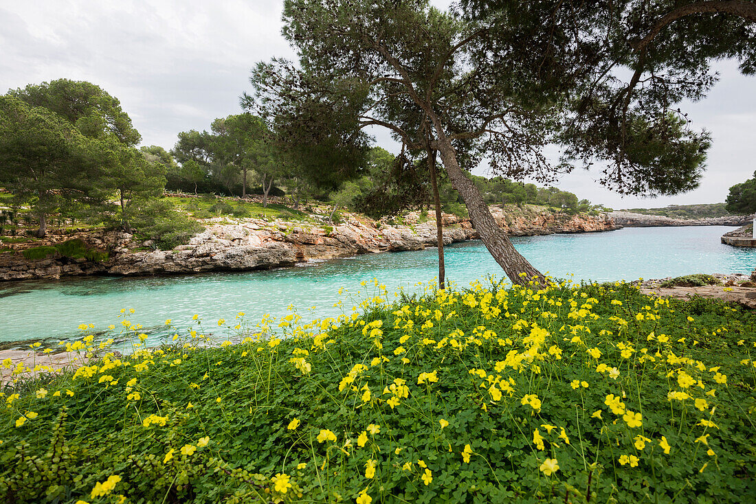 Landschaft bei Cala d'Or, Mallorca, Balearen, Spanien