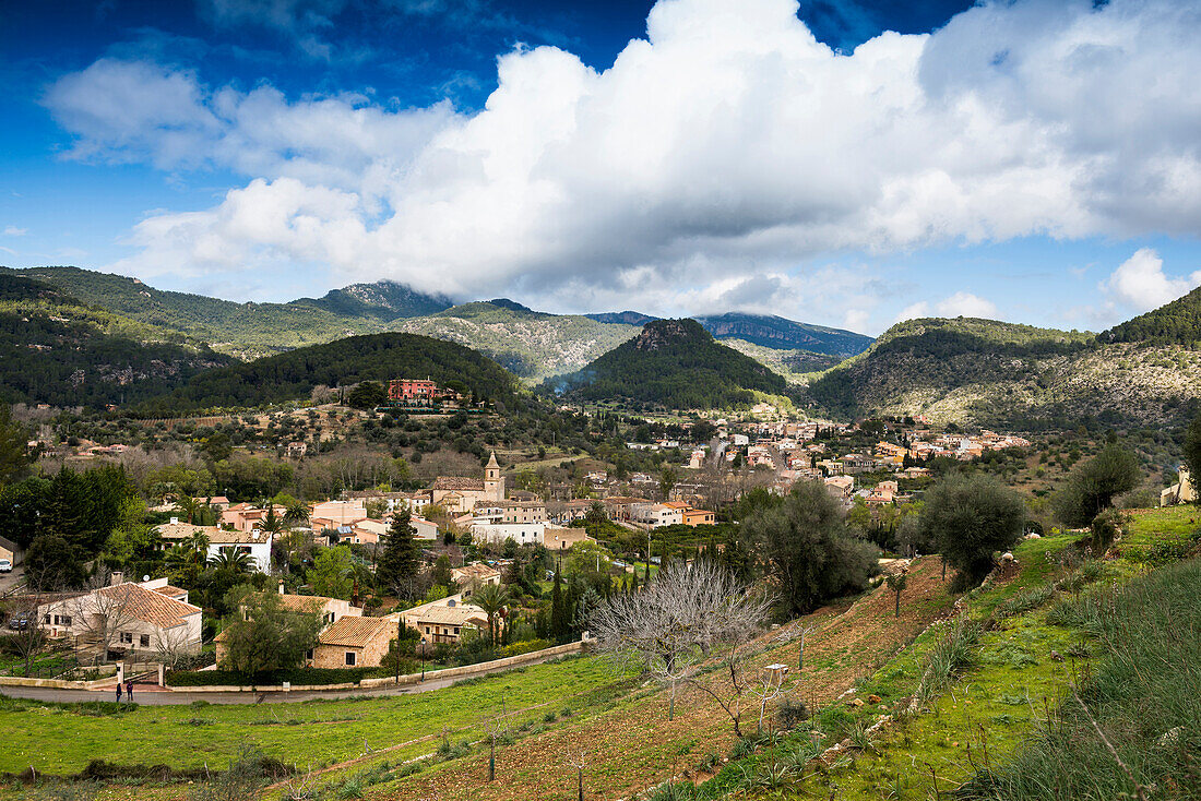 Puigpunyent, Majorca, Balearic Islands, Spain