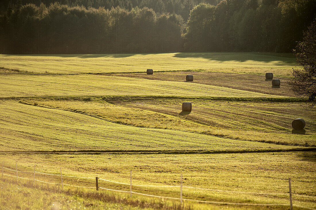 back lit hay bales at domain, Alb plateau around Rutschen rock, Bad Urach, Reutlingen district, Swabian Alb, Baden-Wuerttemberg, Germany