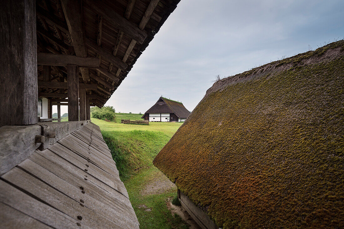 view towards longhouse at open air museum Heuneburg, celtic settlement Pyrene, Hundersingen urban district of Herbertingen, Sigmaringen district, Swabian Alb, Baden-Wuerttemberg, Germany