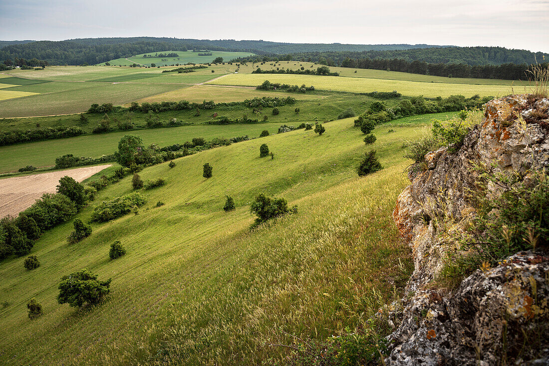 rocks around the Ipf mountain that is a escarpment outlier and former settlement of celtic people, Bopfingen in between Aalen and Noerdlingen, Ostalb district, Swabian Alb, Baden-Wuerttemberg, Germany