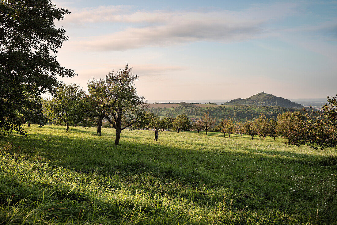 the so called Limburg is a former volcano, Weilheim at the Teck, Esslingen district, Swabian Alb, Baden-Wuerttemberg, Germany