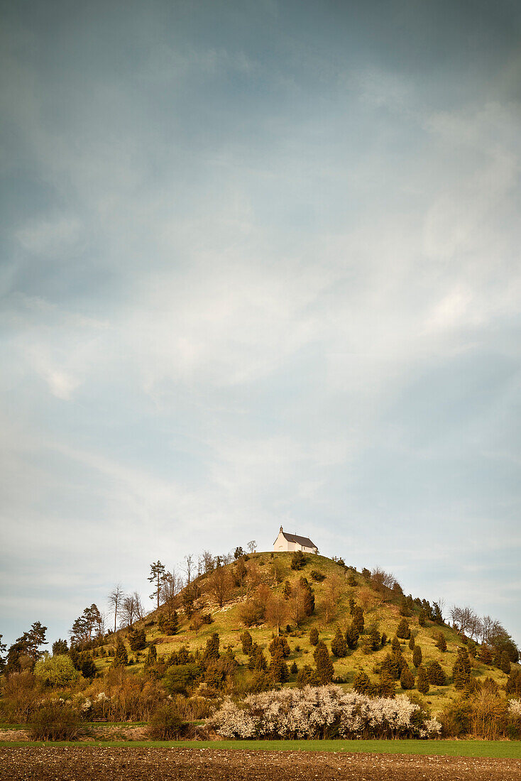 ' pilgrimage chapel ''Salmending Chapel'' at Kornbuehl mountain, district Salmendingen, Zollernalb district, Swabian Alb, Baden-Wuerttemberg, Germany'