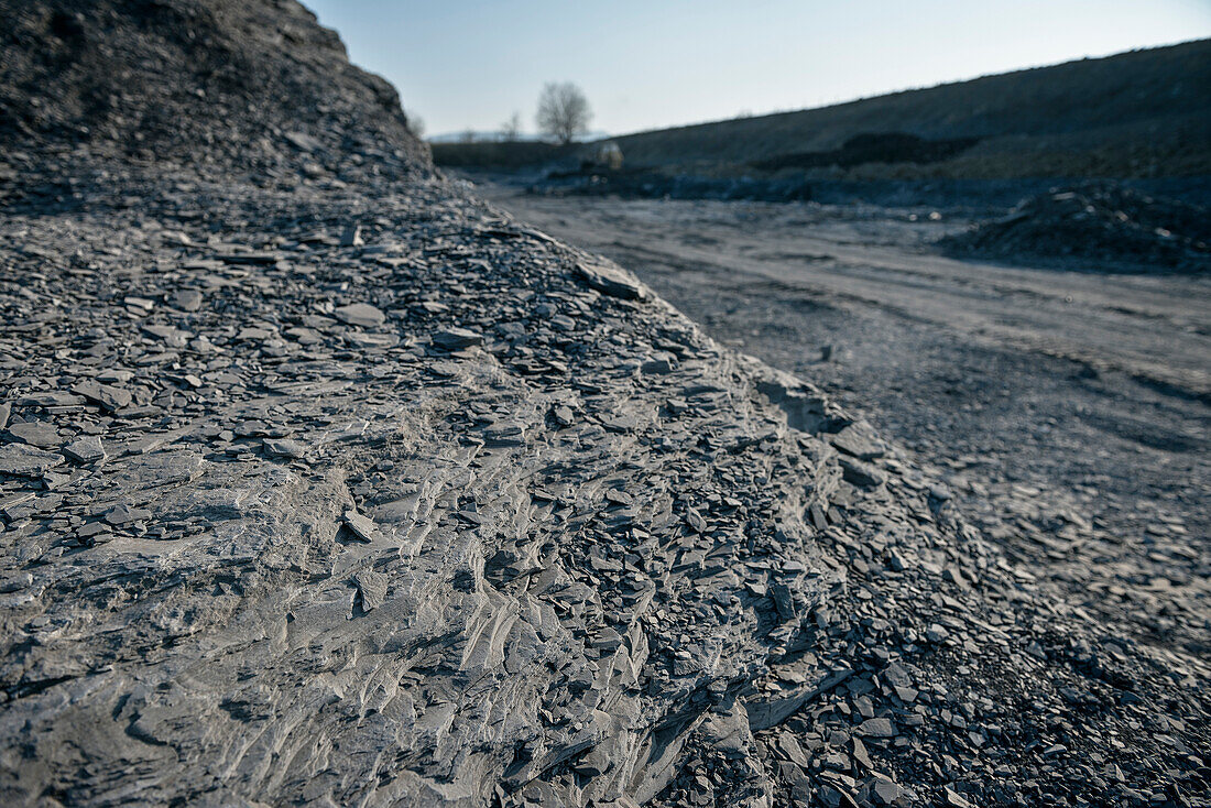 slate quarry in Ohmden, fossil protected area, Esslingen district, Swabian Alb, Baden-Wuerttemberg, Germany