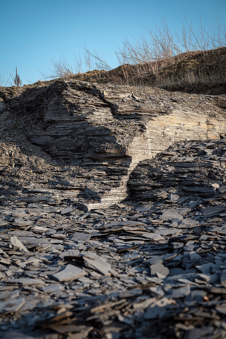 slate quarry in Ohmden, fossil protected area, Esslingen district, Swabian Alb, Baden-Wuerttemberg, Germany