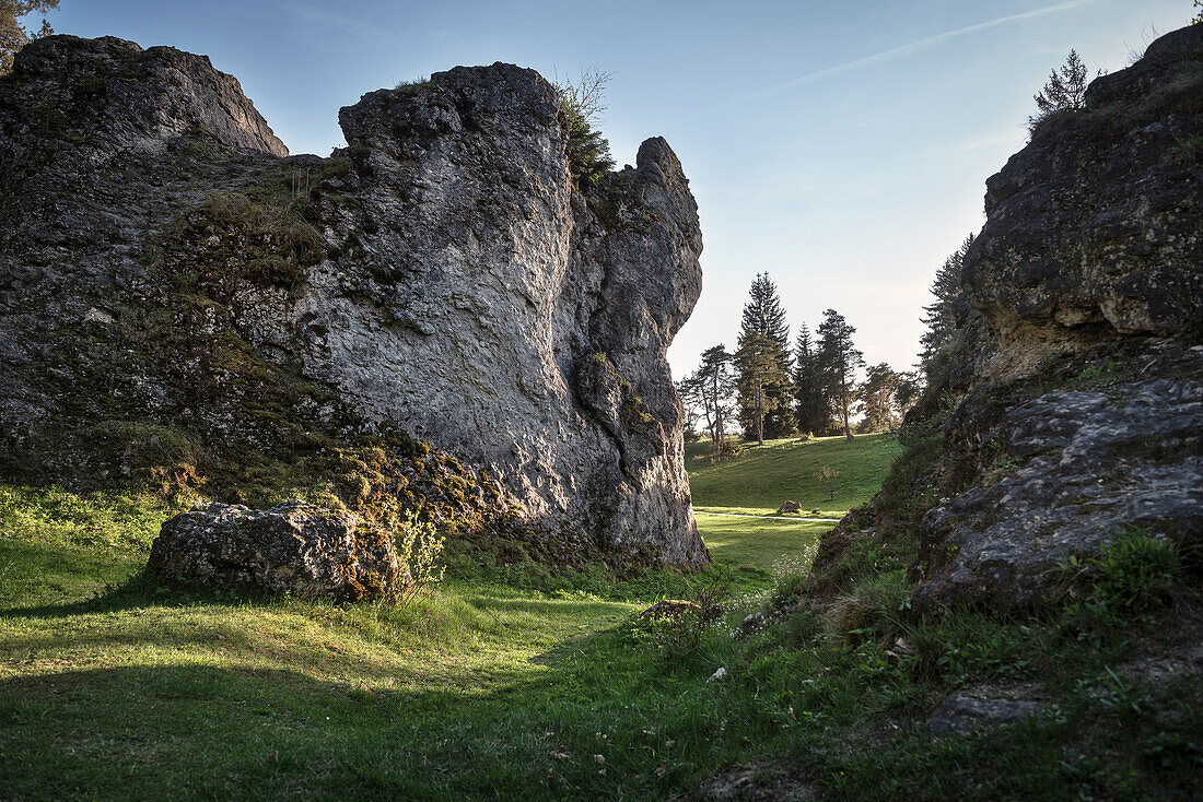 bizarre rock formations at the Wen Valley, the Wen Valley is a typical dry valley north west of Steinheim at Albuch at the plateau of the Swabian Alb, Heidenheim district, Swabian Alb, Baden-Wuerttemberg, Germany