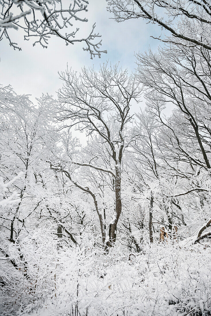 winter Alb landscape around Kirchheim below Teck, Esslingen district, Swabian Alb, Baden-Wuerttemberg, Germany