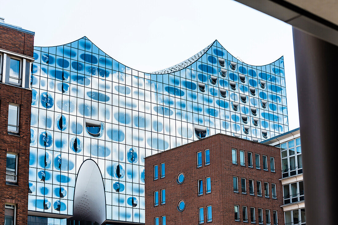 View of the unique facade of the concert hall Elbphilharmonie with the surrounding office houses, Hamburg, Hafencity, Germany