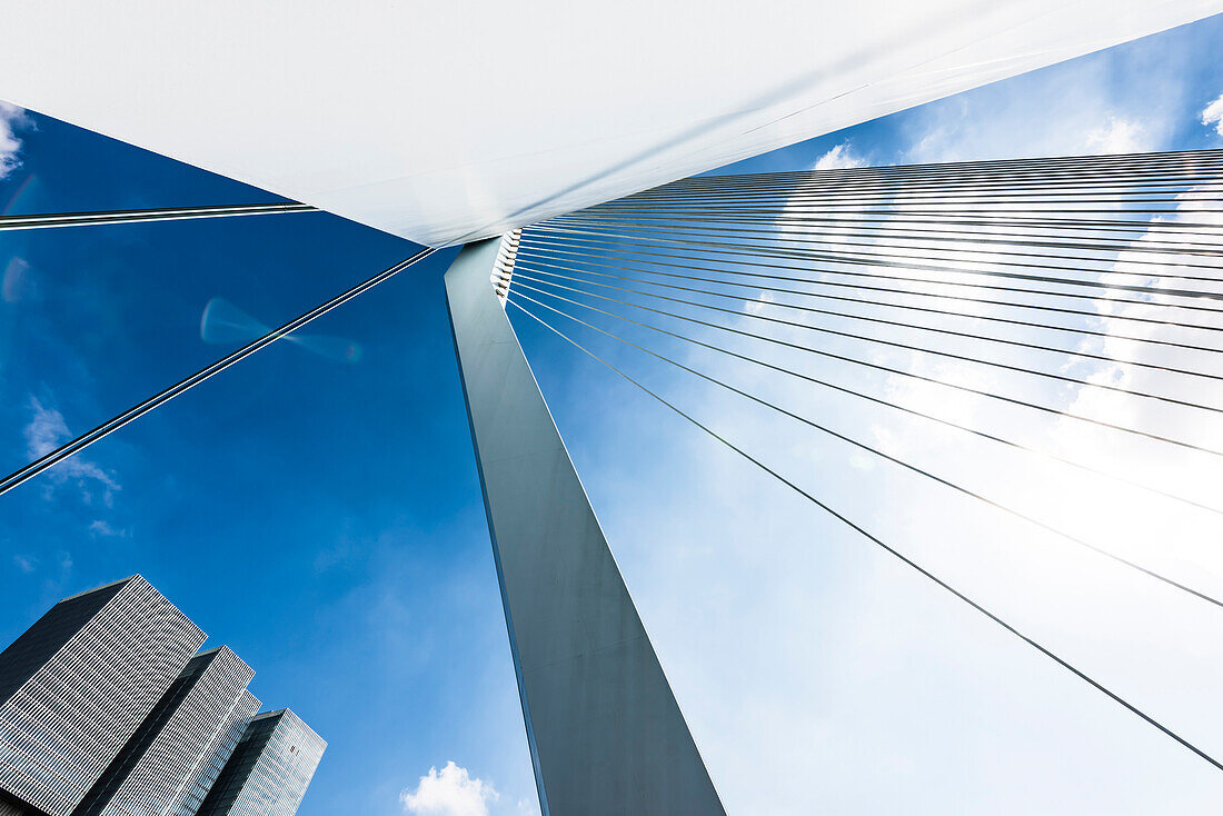 The pylon of the Erasmus bridge from a low angle view with view to the high rise building ''De Rotterdam'' on the south shore of the river Maas, Rotterdam, Netherlands