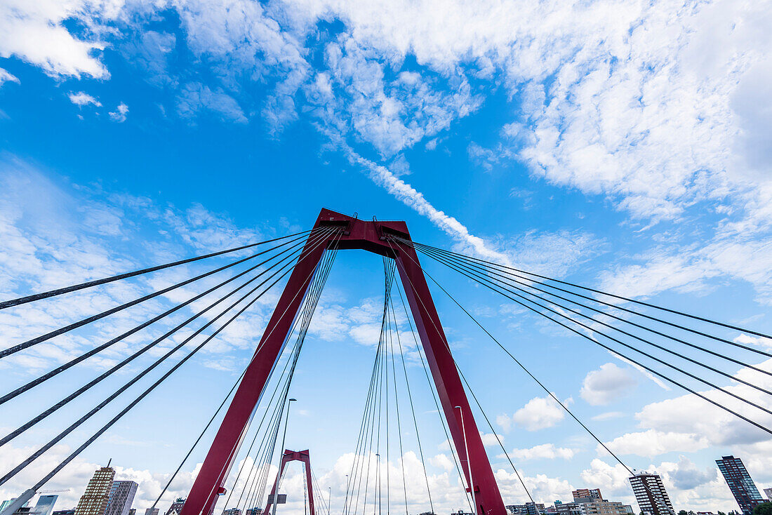Die Schrägseilbrücke Willemsbrücke über die Maas mit Blick auf die Innenstadt von der Insel Noordereiland aus gesehen, Rotterdam, Provinz Südholland, Niederlande