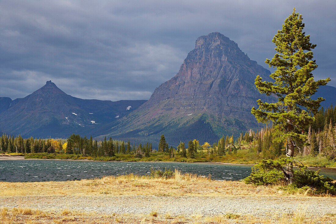 Herbst am <Two Medicine Lake> , Glacier National Park , Montana , U.S.A. , Amerika
