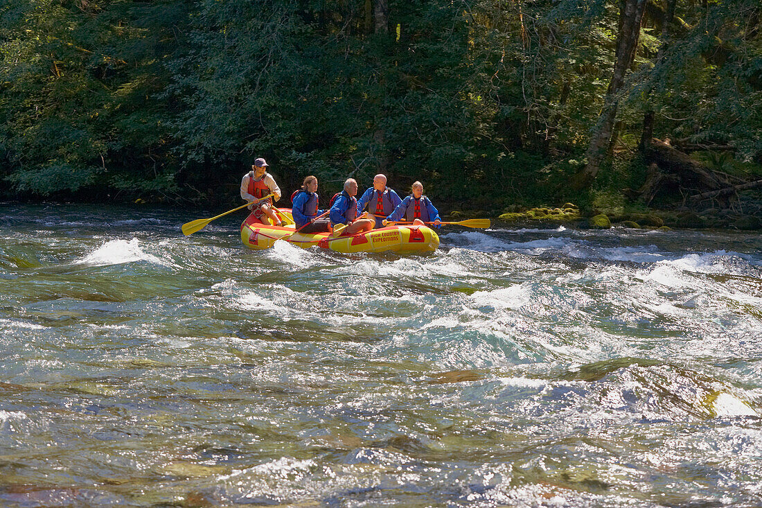 River Rafting auf dem McKenzie -River , Cascade Range , Oregon , U.S.A. , Amerika