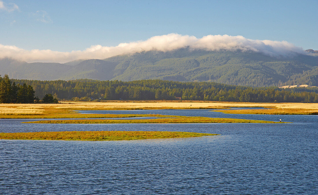 Sandlake on Whalen-Island near Pacific-City , Pacific-Coast , Oregon , U.S.A. , America