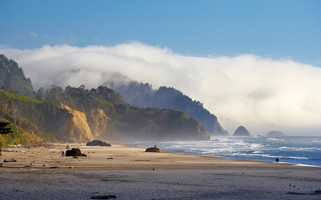 Pazifikküste , Arcadia Beach , Oregon , U.S.A. , Amerika