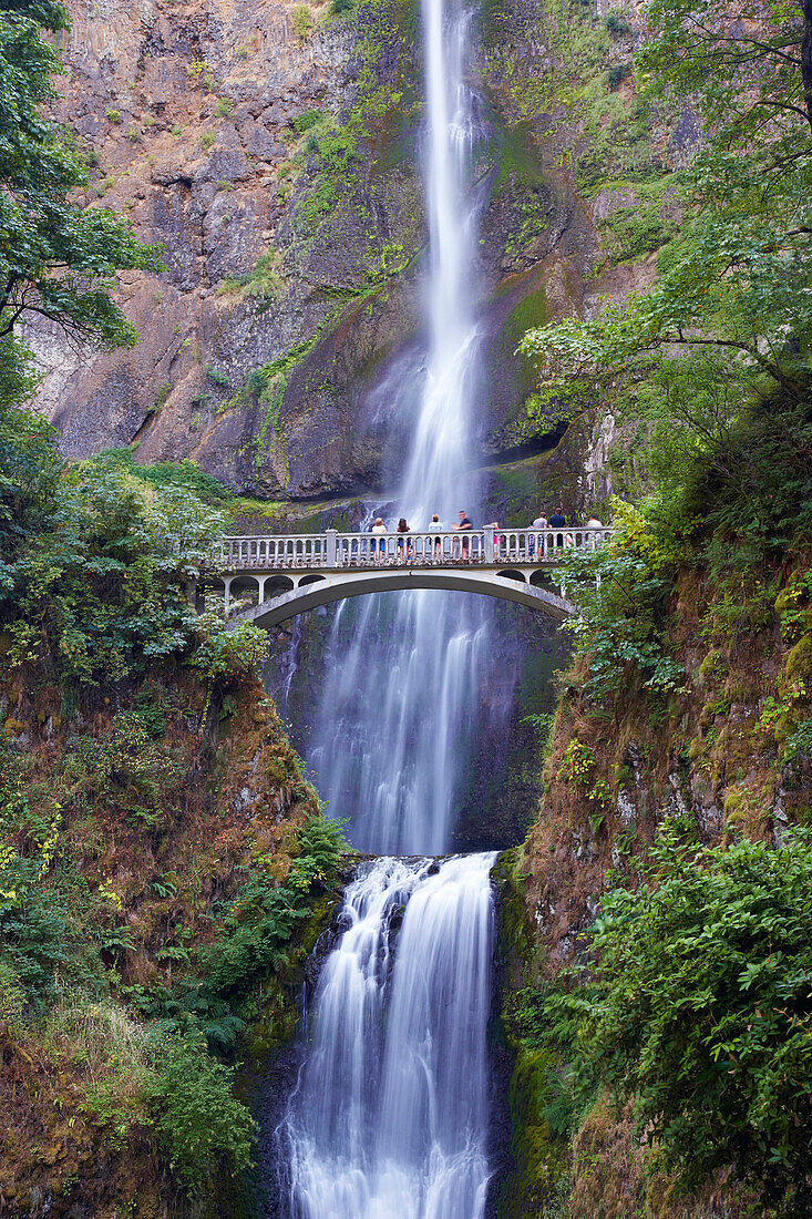 Blick auf die <Multnomah Falls> und <Benson Footbridge> , Columbia River Gorge , Oregon , U.S.A. , Amerika