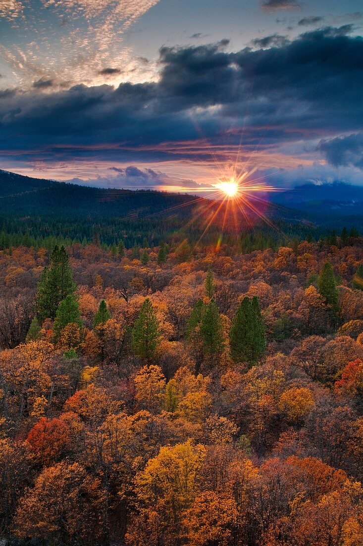 Stormy sunset over Fall colors on trees in mixed forest, Shasta National Forest, near Burney, California.