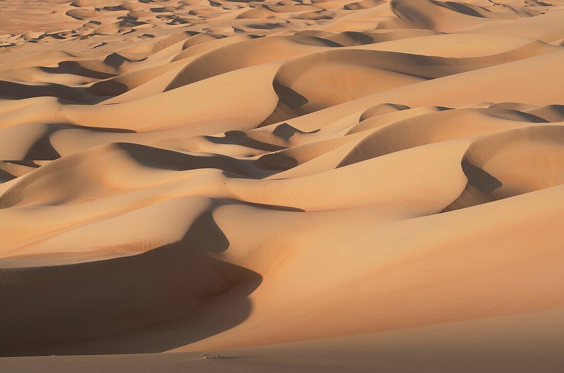 United Arab Emirates, Abu Dhabi, Empty Quarter Desert, Rub Al Khali.