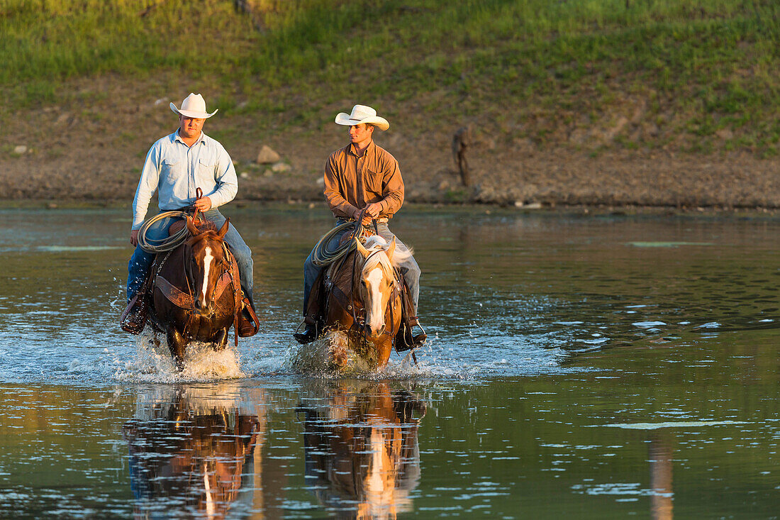 Two wranglers (cowboys) on horses, riding through water, California, USA