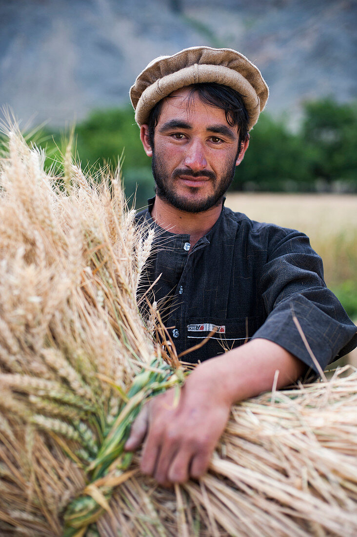 A farmer holds a freshly cut bundle of wheat in the Panjshir Valley, Afghanistan, Asia