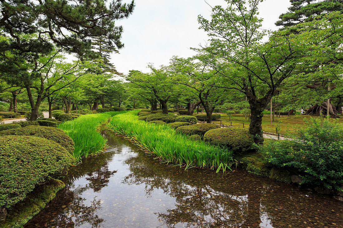 Stream with lush greenery and reflections, Kenrokuen, one of Japan's most beautiful landscape gardens in summer, Kanazawa, Japan, Asia