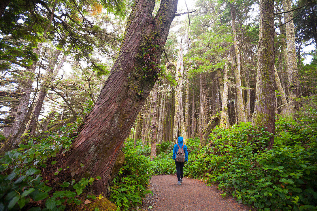 hiking the Wild Pacific Trail, Vancouver Island, British Columbia