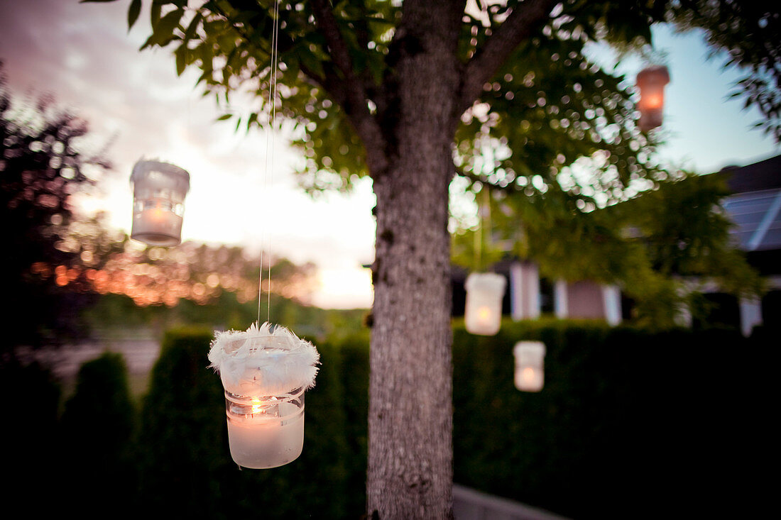Several candle-lit white lanterns hang from a tree at dusk