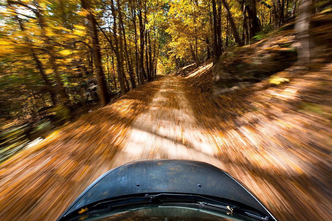 Driving through fall colors on a back country road in Illinois