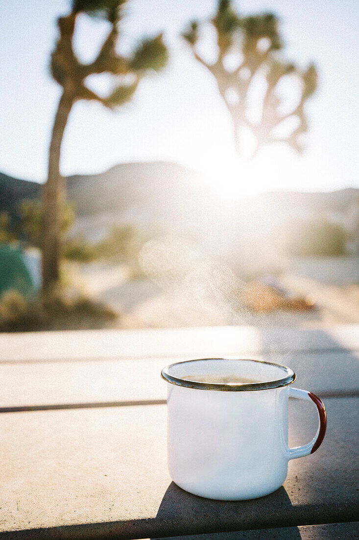 Ryan Campground in Joshua Tree, CA