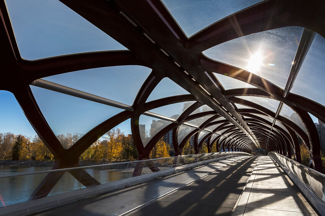 'Interesting silhouette design of cylindrical bridge with sunburst and trees and buildings in the background; Calgary, Alberta, Canada'