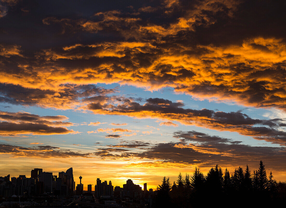 'Dramatic colorful clouds at sunrise with cityscape and tree silhouette; Calgary, Alberta, Canada'