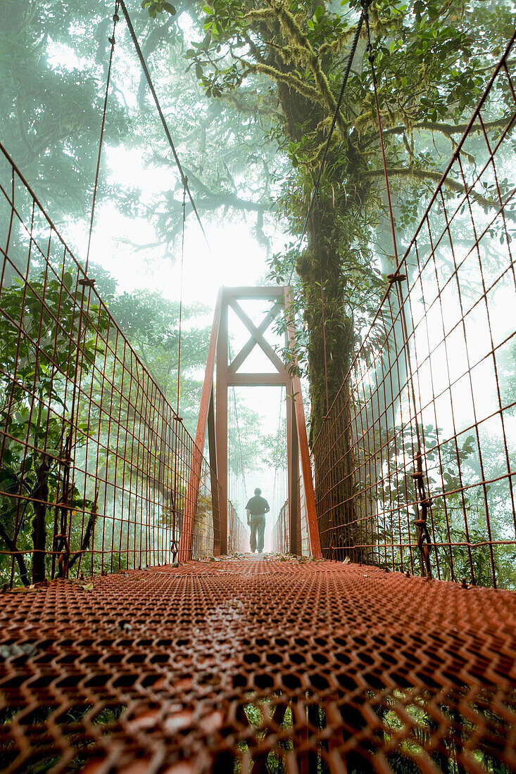 'Man on a bridge, Monteverde Cloud Forest Reserve; Monteverde, Costa Rica'