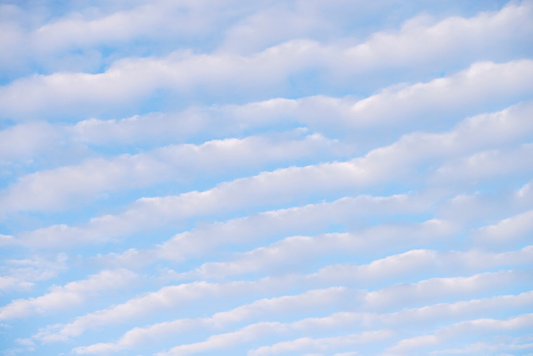 'Altocumulus clouds; Ontario, Canada'