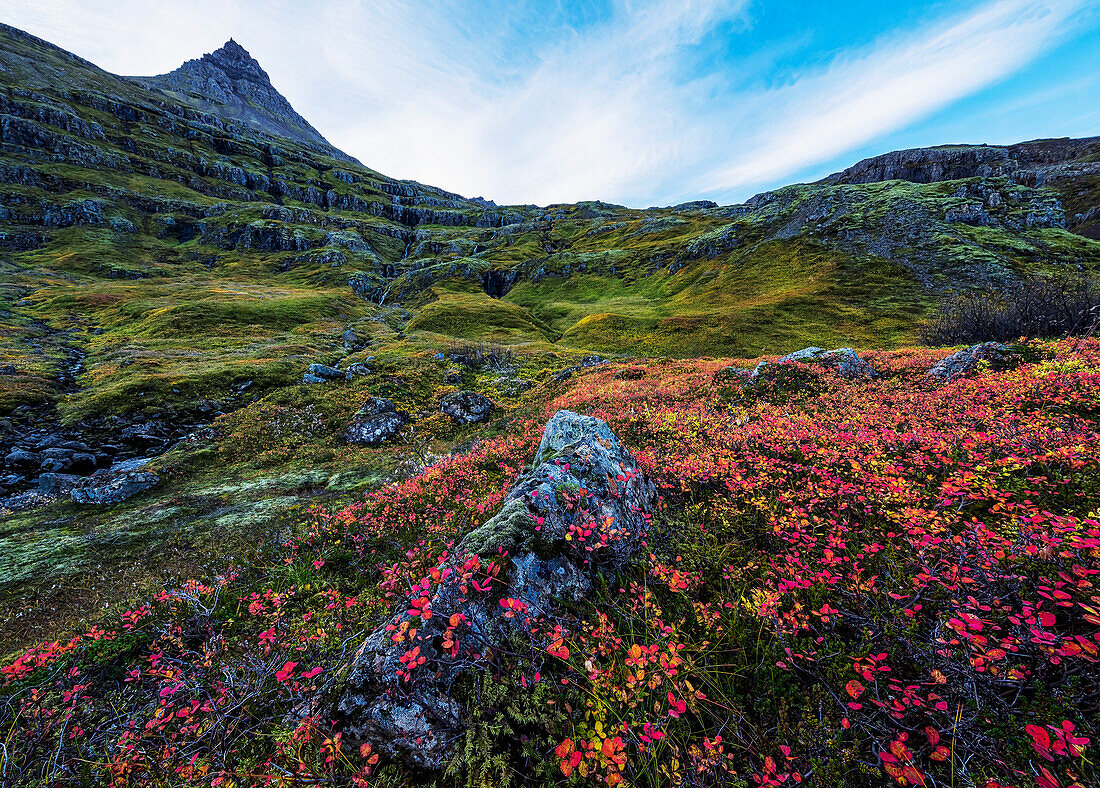 'The valley in the fjord called Mjoifjordur on the eastern coast of Iceland; Iceland'