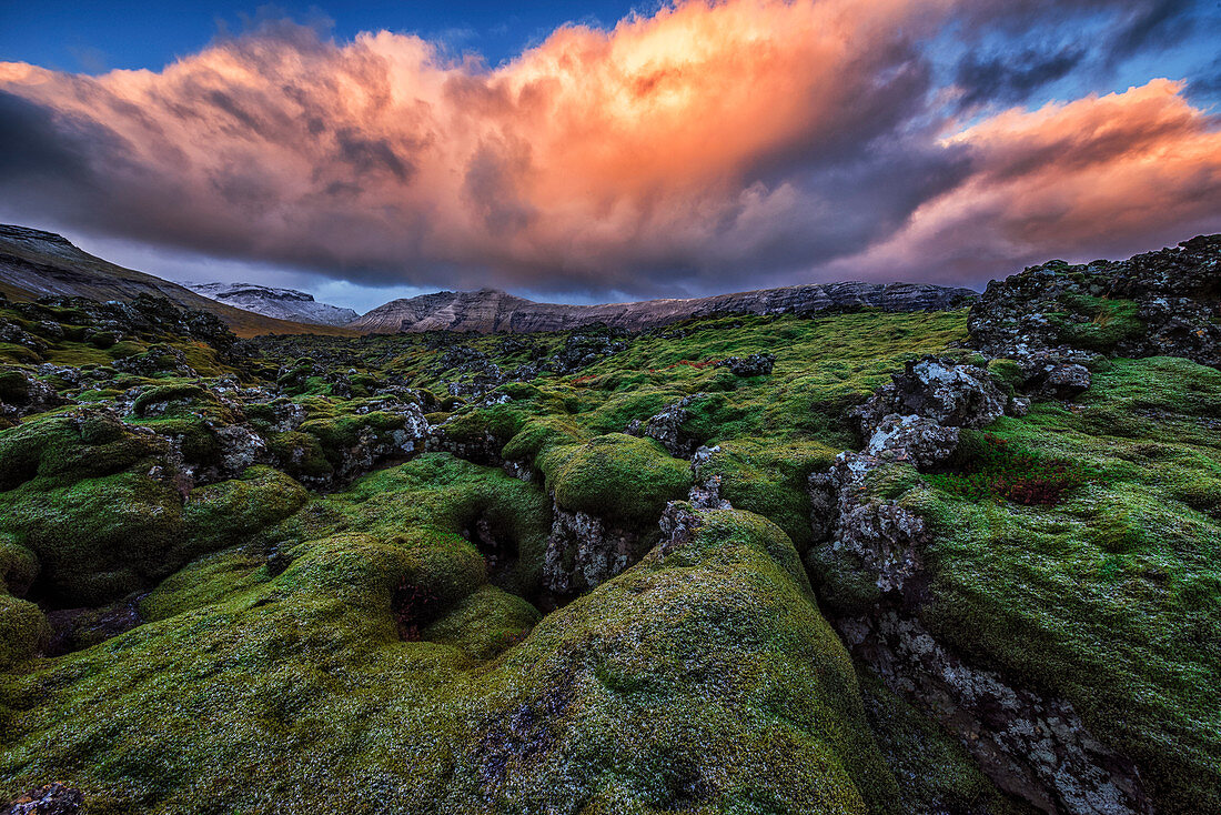 'Moss covered lava flow at sunrise on the Snaefellsness Peninsula; Iceland'