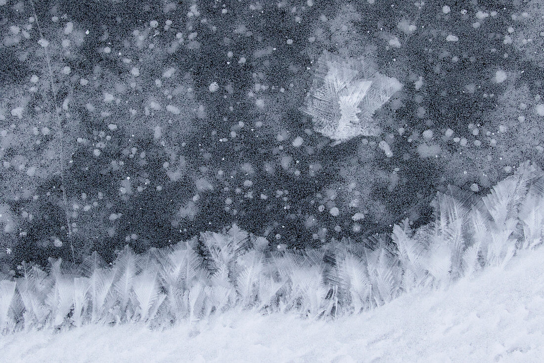 'Ice crystals on ice; Manitoba, Canada'