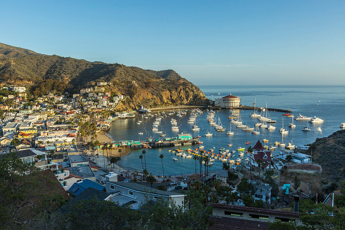 Boats in waterfront harbor