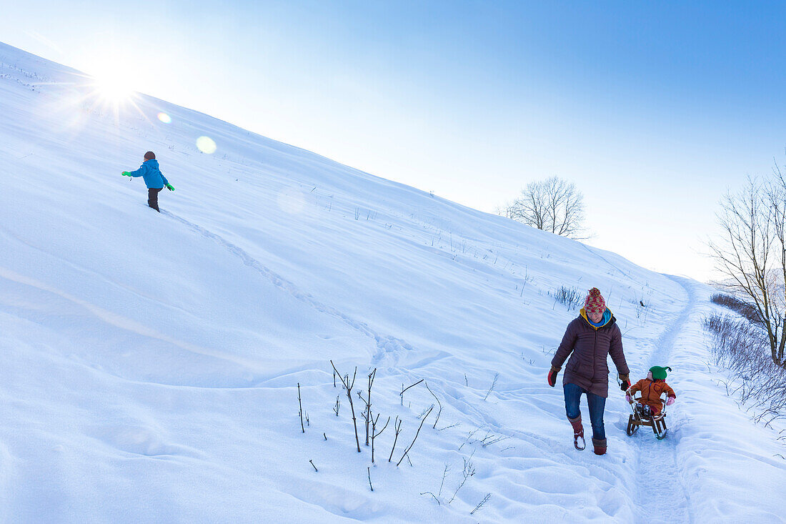 Junge Familie im Schnee, Neuschnee, Junge, 5 Jahre, Mama, Mutter zieht Tochter auf Schlitten, Harz, MR, Sankt Andreasberg, Niedersachen, Deutschland