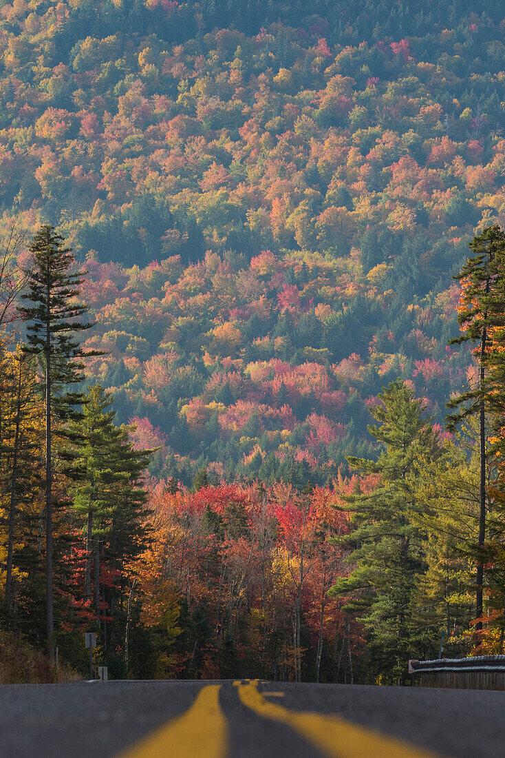 A road along a bright mix of reds, oranges, yellows and greens in the White Mountains of New Hampshire.