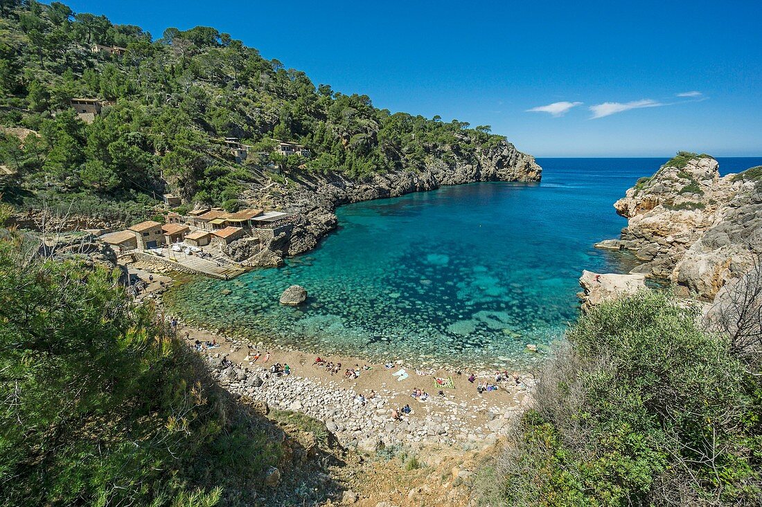 Cala Deia, Straßenmaler, Küste der Tramuntana zwischen Deia und Soller, Deia, Mallorca, Balearen, Spanien