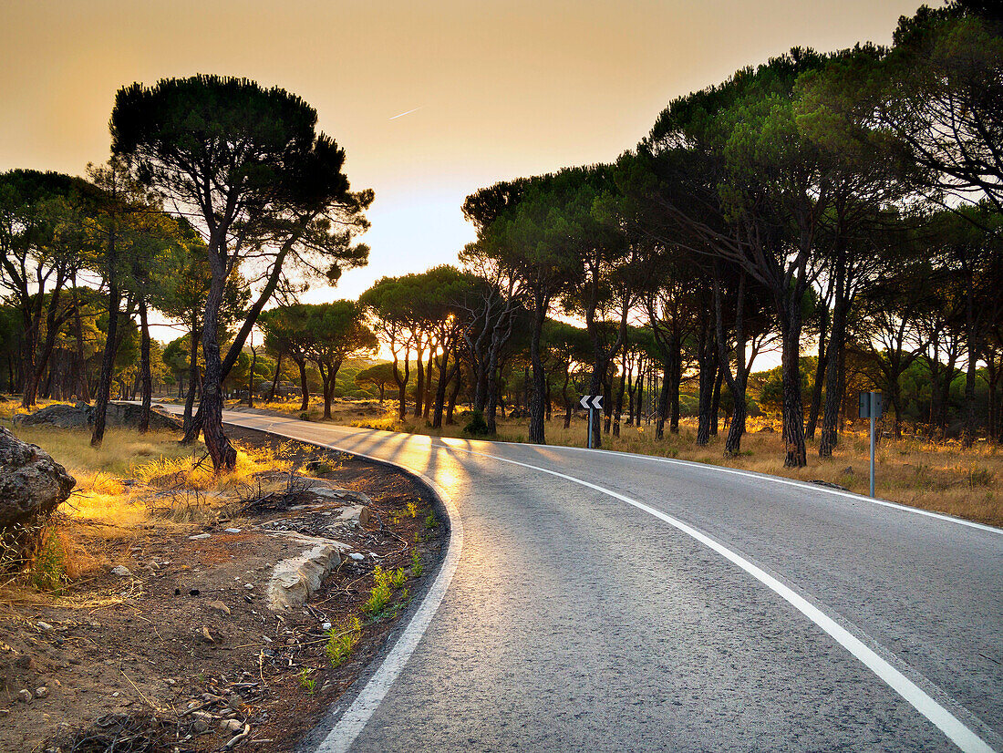 M-541 road in Cadalso de los Vidrios. Madrid. Spain. Europe.